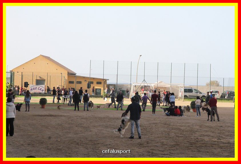 180311 mostra_canina 218.jpg